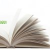 Ferias de Libros Nacionales » Berazategui 2015